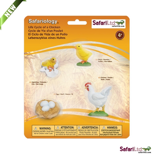 Safari Ltd Life Cycle Of A Chicken